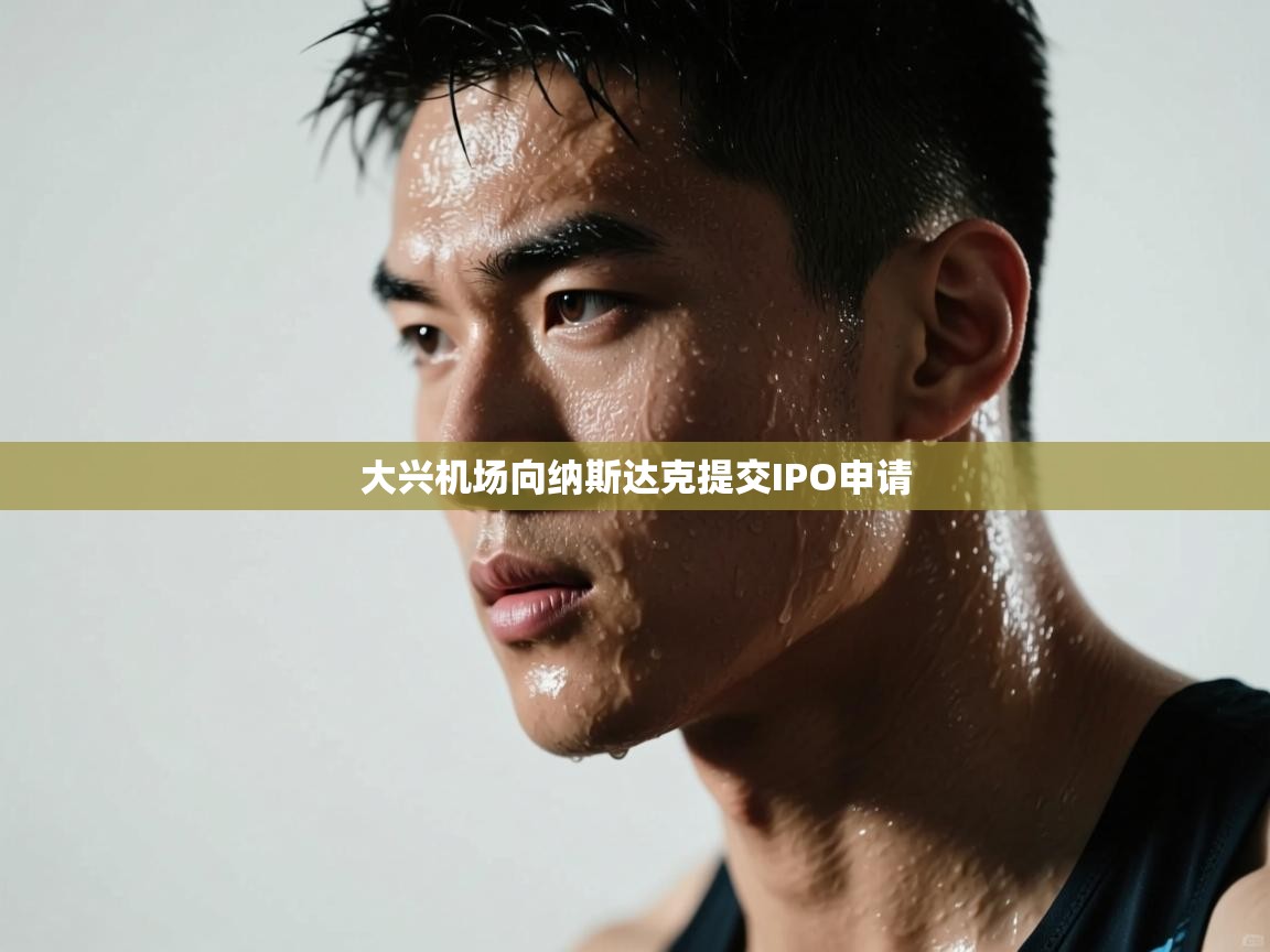 大兴机场向纳斯达克提交IPO申请 第1张