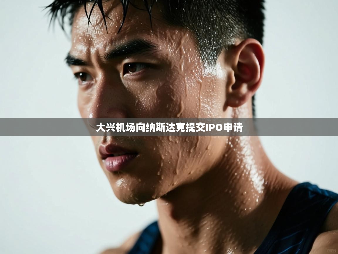 大兴机场向纳斯达克提交IPO申请 第2张