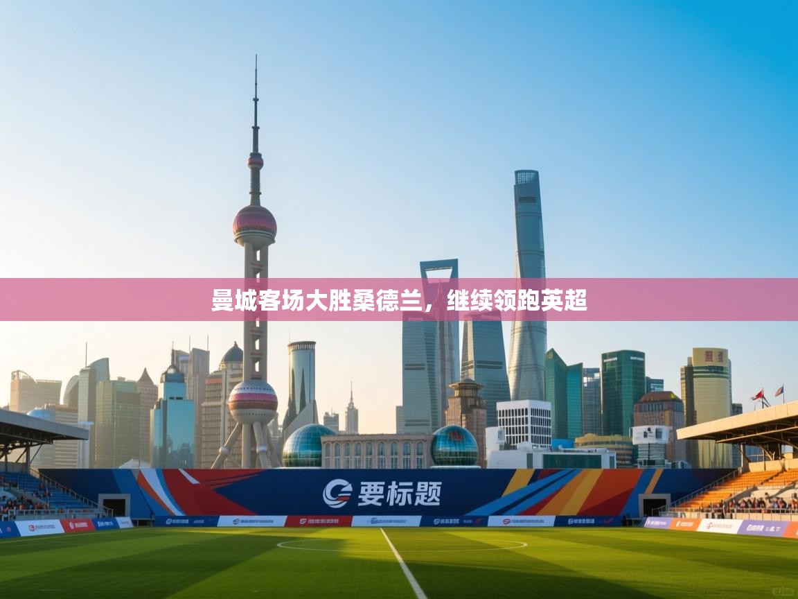 曼城客场大胜桑德兰,继续领跑英超 第1张