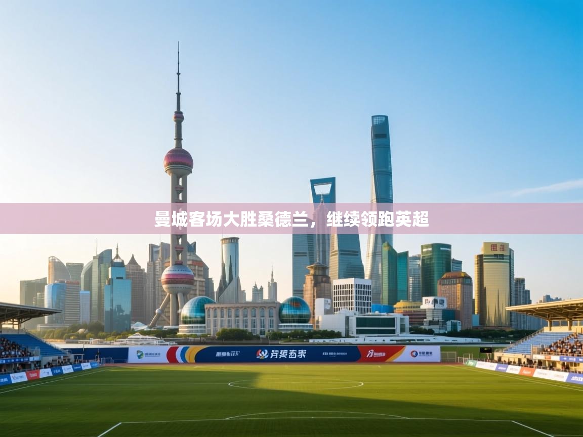 曼城客场大胜桑德兰,继续领跑英超 第2张