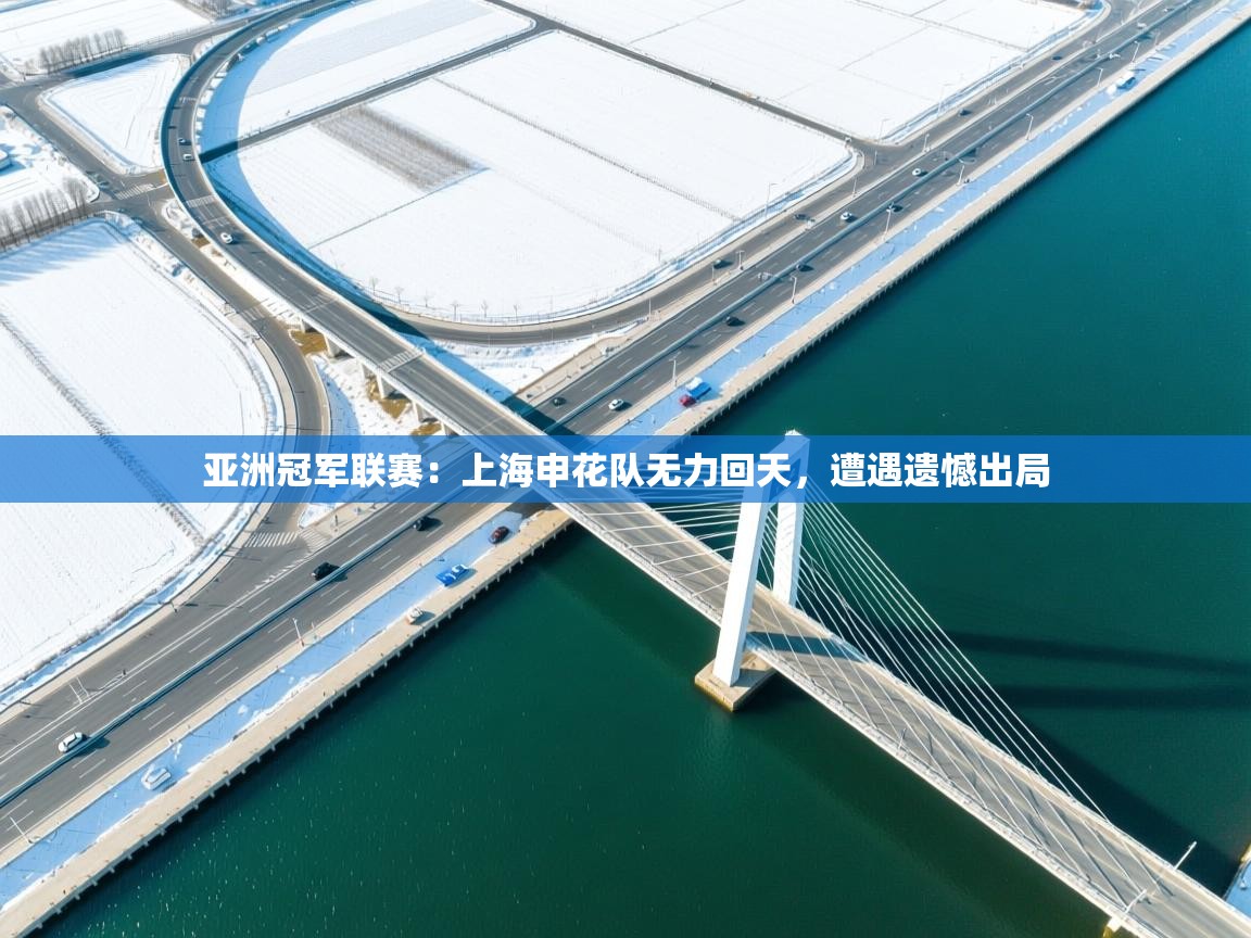 亚洲冠军联赛：上海申花队无力回天，遭遇遗憾出局  第2张