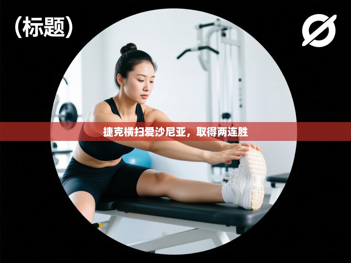 捷克横扫爱沙尼亚,取得两连胜 第2张