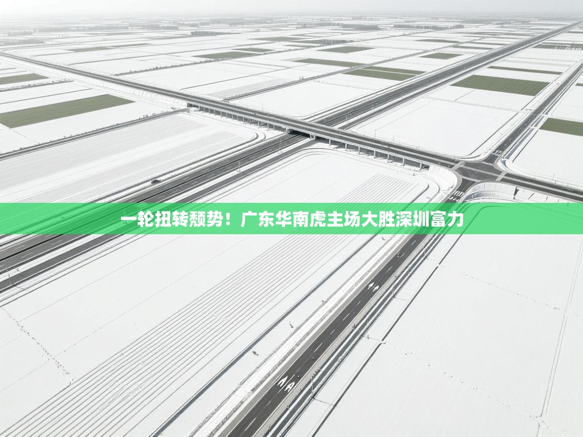 一轮扭转颓势！广东华南虎主场大胜深圳富力  第1张