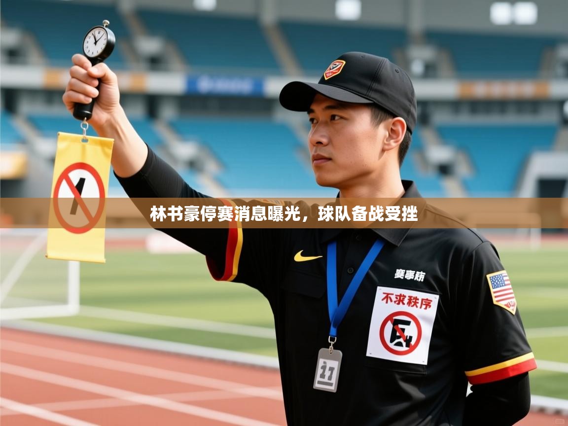 林书豪停赛消息曝光，球队备战受挫  第2张