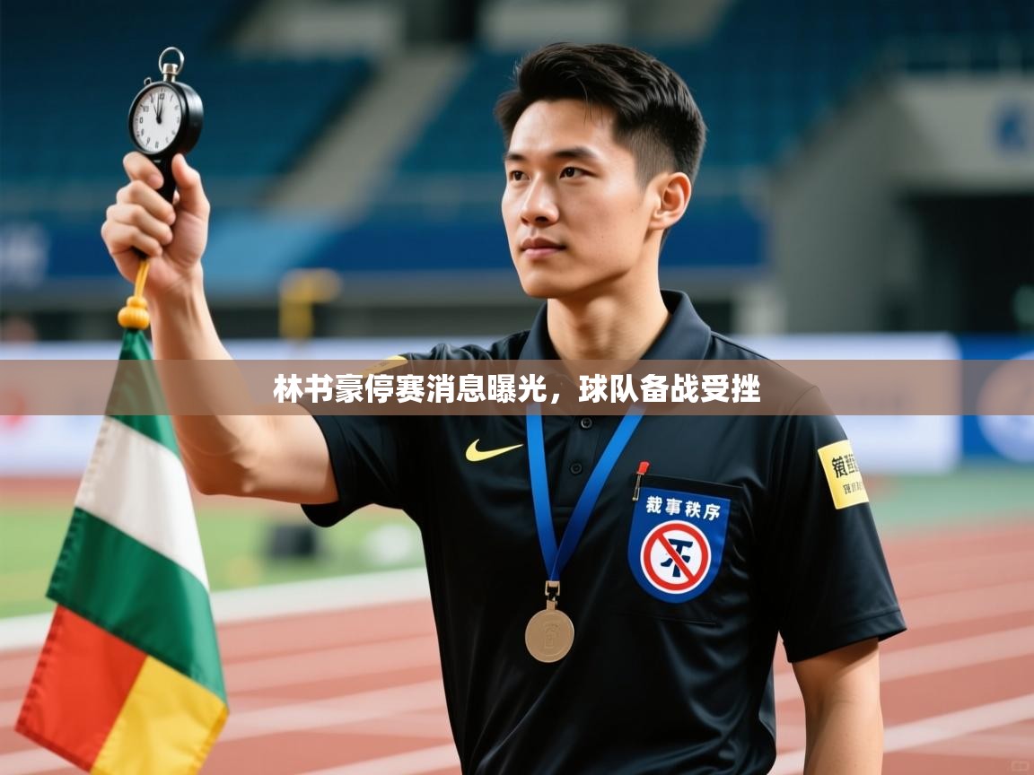 林书豪停赛消息曝光，球队备战受挫  第1张