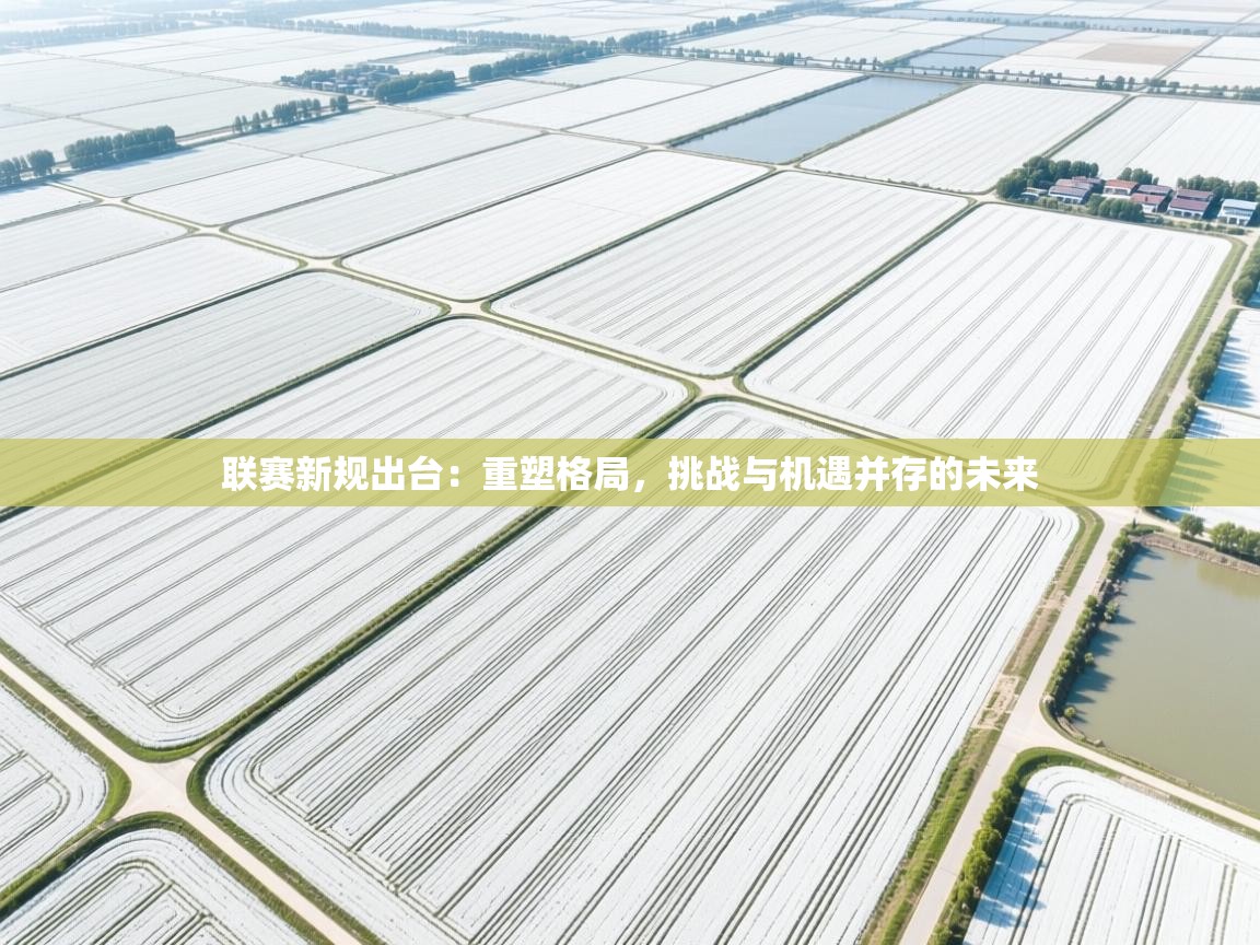 联赛新规出台:重塑格局,挑战与机遇并存的未来 第2张