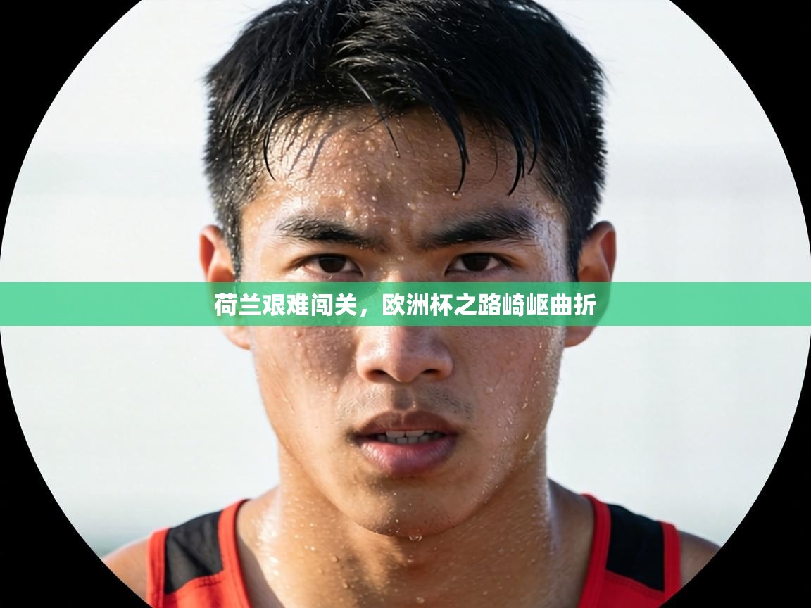 荷兰艰难闯关，欧洲杯之路崎岖曲折  第1张