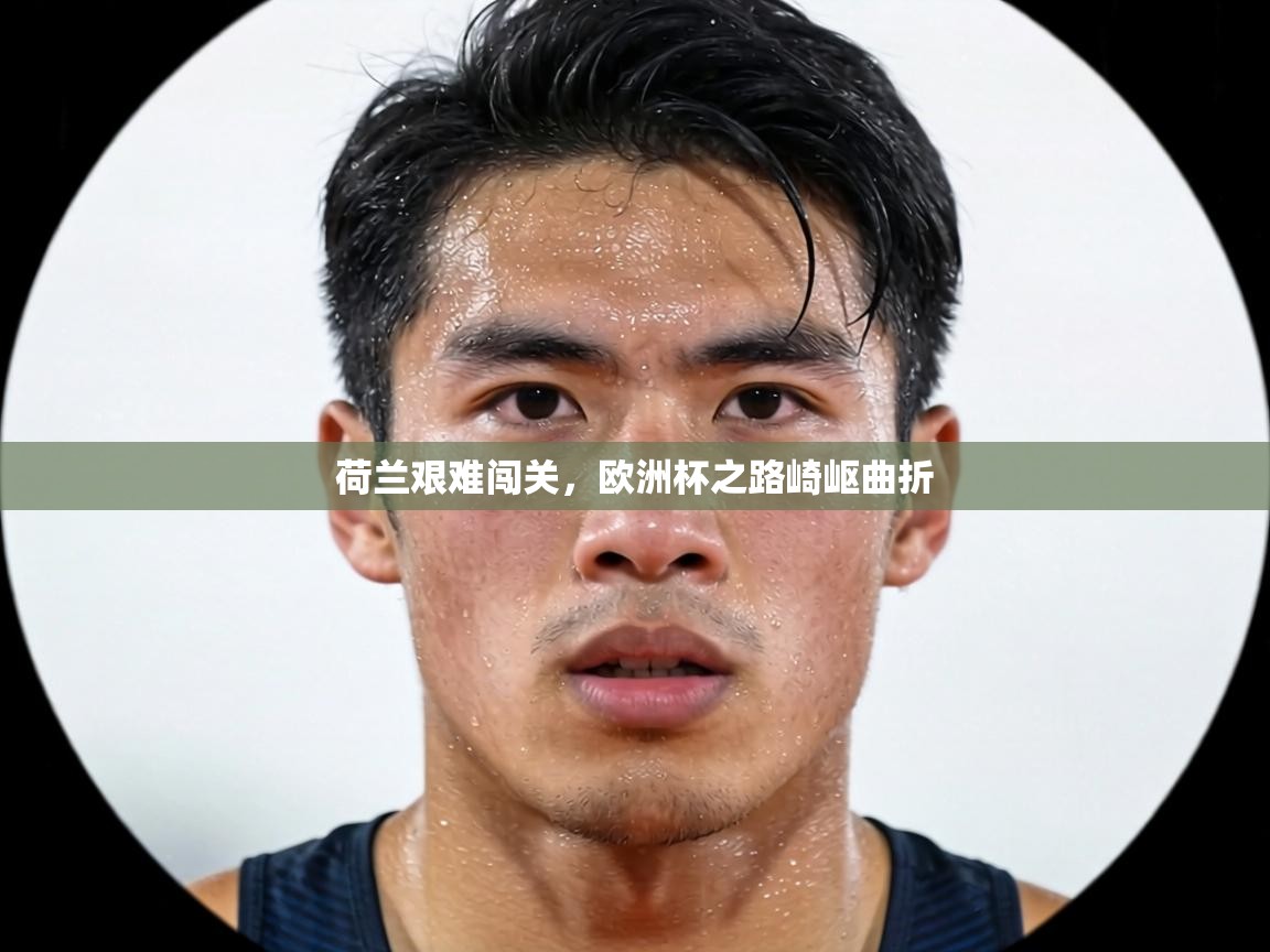 荷兰艰难闯关，欧洲杯之路崎岖曲折  第2张